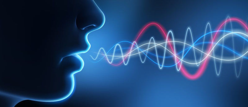 What is voice recognition software and how does it work