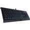 Razer Cynosa Chroma Lite Essential Gaming Keyboard (Black)