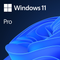 Microsoft Windows 11 Professionnel 64 bits - OEM