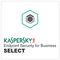 Kaspersky Endpoint Security for Business - Download