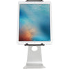 Rain Design 10056 mStand Tablet Stand for iPad (Silver)